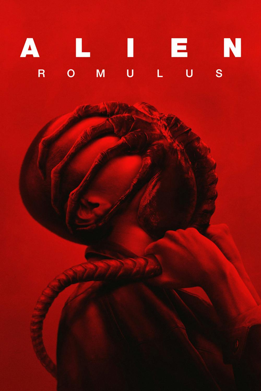 Alien Romulus is scary but good